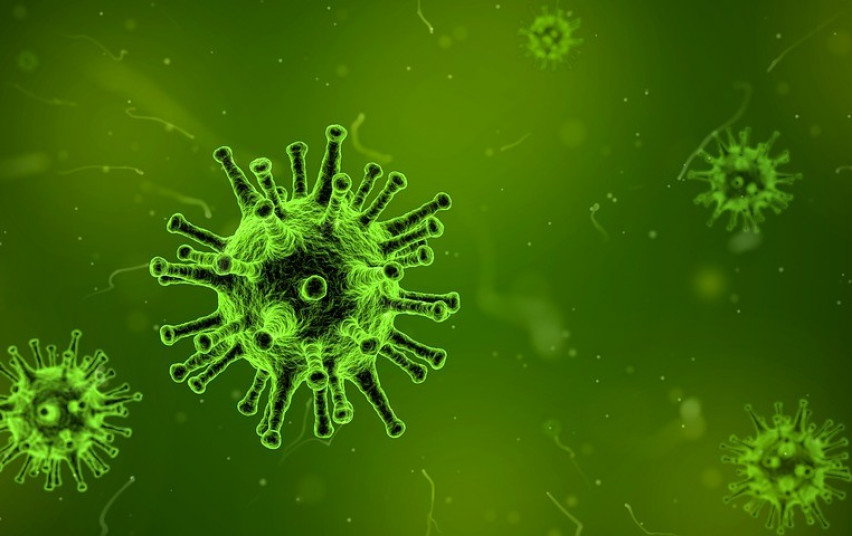 Šiandien koronavirusas nustatytas daugiau nei 700 Kretingos rajono gyventojų. Asociatyvi nuotr.