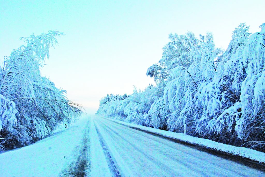 Nuo sniego svorio linkstantys medžiai trukdė ir eismui, ir elektros tiekimui.