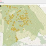 Potencialiai pažeidžiamus eglynus galima matyti pažeistų miško medynų žemėlapyje
