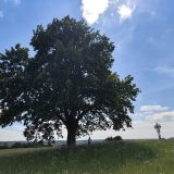 Vyšnių kalno sargui – sidabras