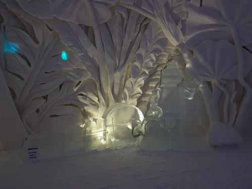 20201230_094953(1)