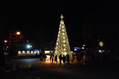 DSC_0046