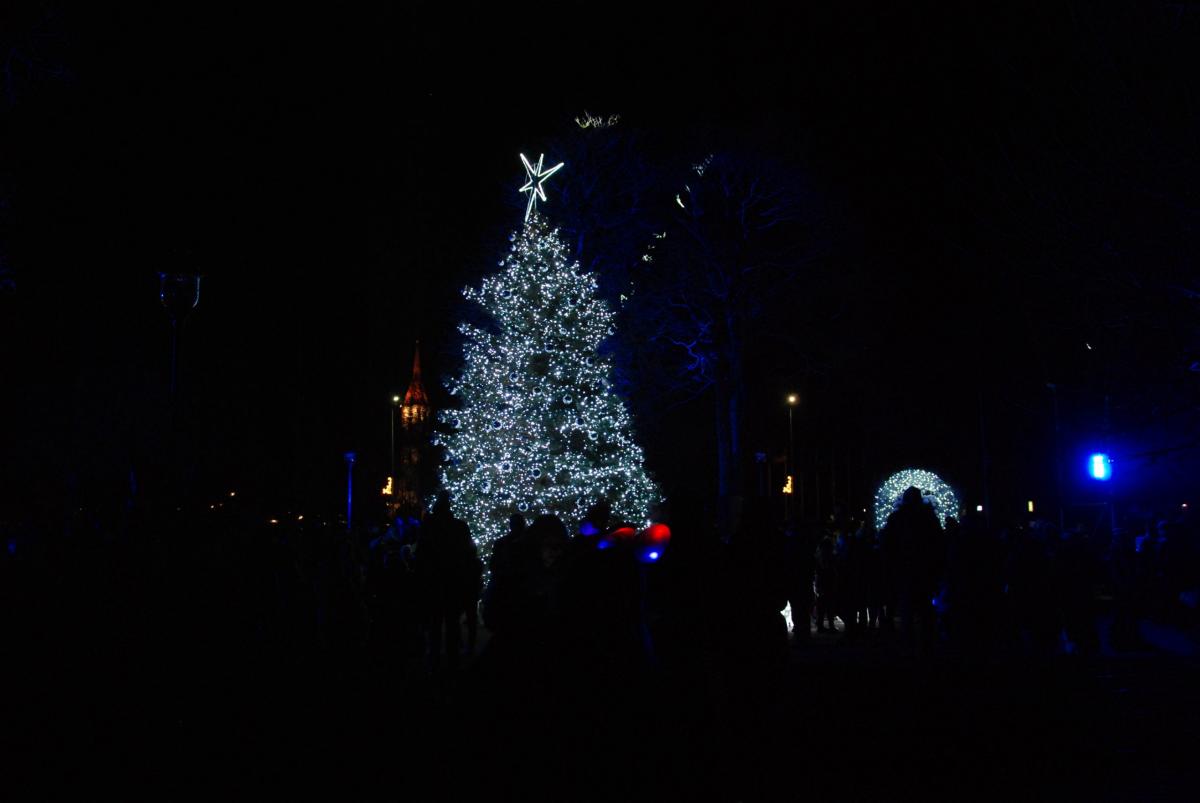DSC_0502