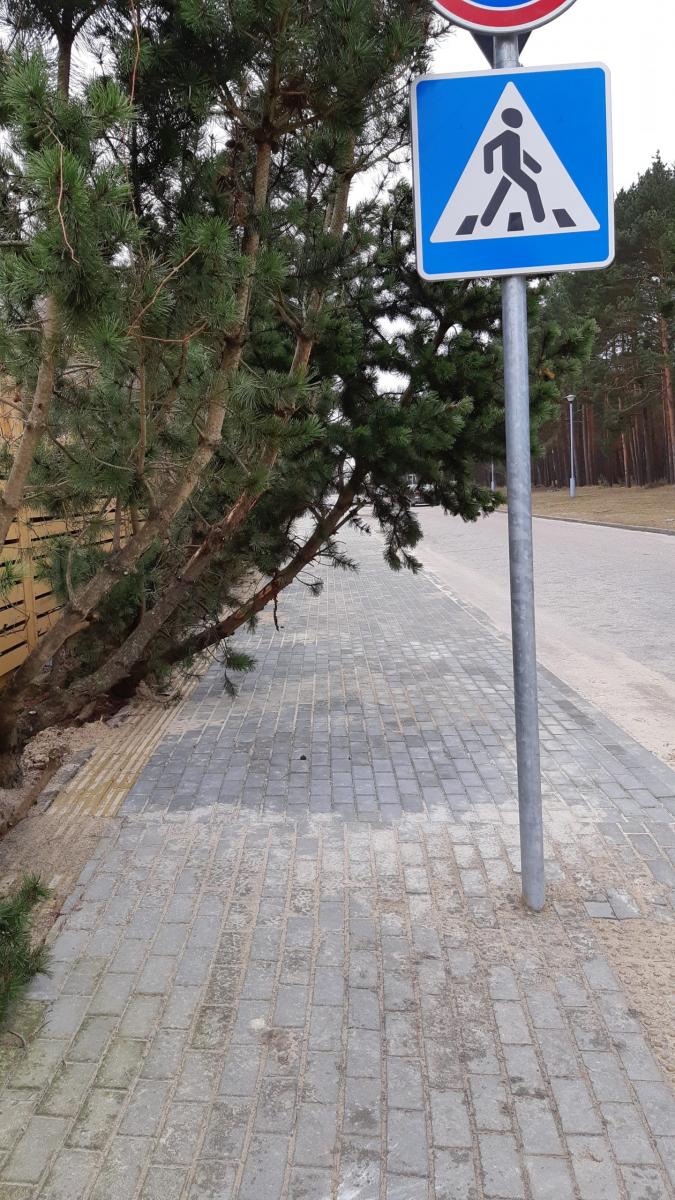 Foto_6sakos